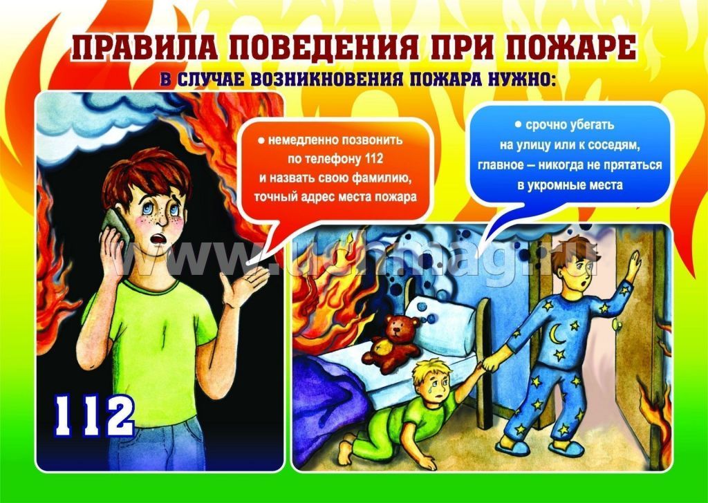 02.jpg